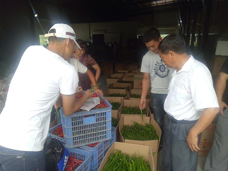 J9.COM·(中国集团)官方网站