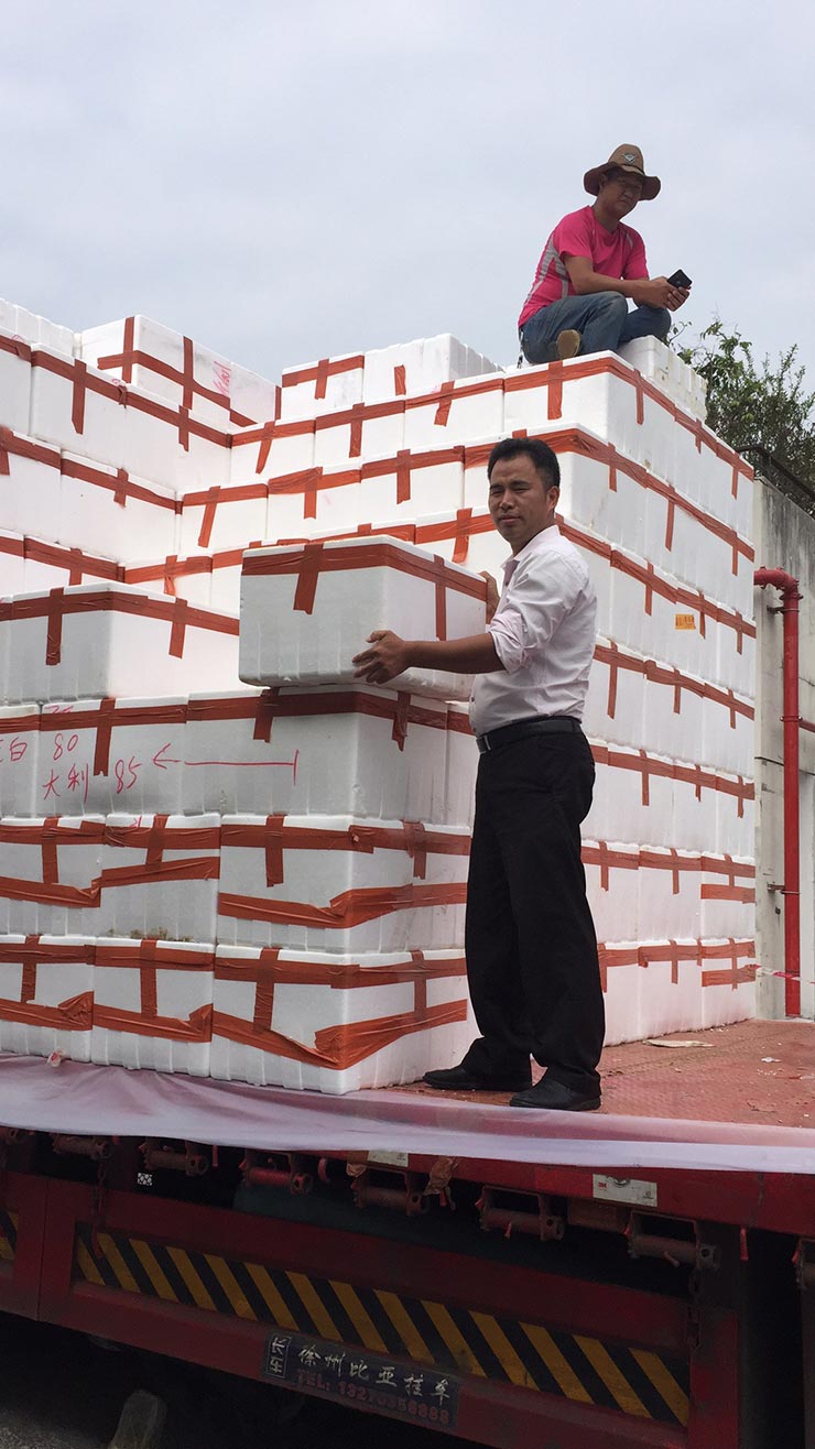 J9.COM·(中国集团)官方网站